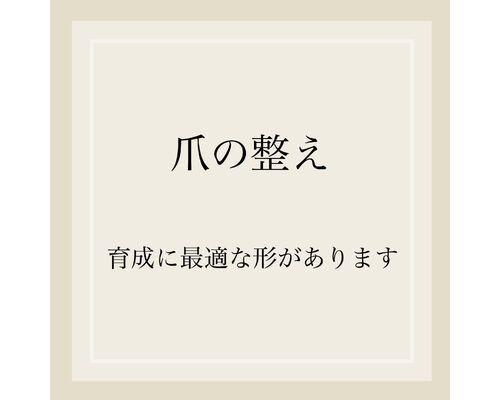 791AA19B-6806-4B50-B16E-89210AC3193C