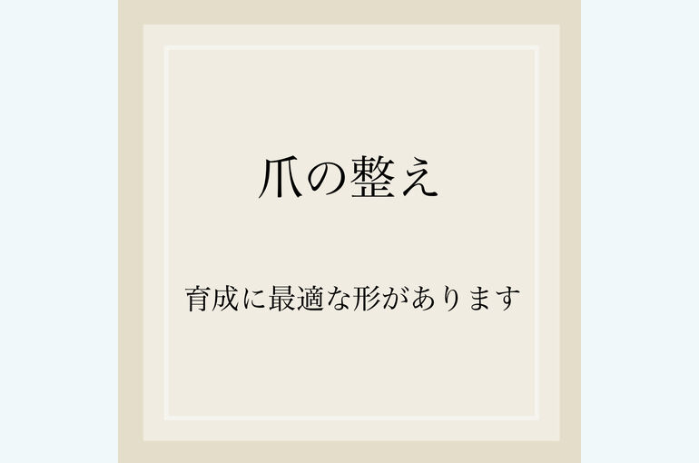 791AA19B-6806-4B50-B16E-89210AC3193C