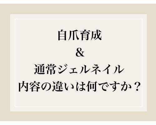 C6D3116A-D62F-4411-979A-138782E815FB